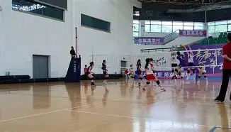 包含排球杯赛上演强强对话，渝州猎隼队大胜北城银狐队，战术调整见效；目标直指冠军的词条
